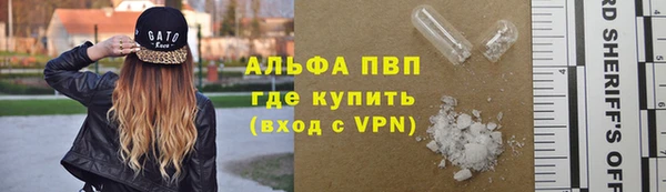 дживик Белокуриха