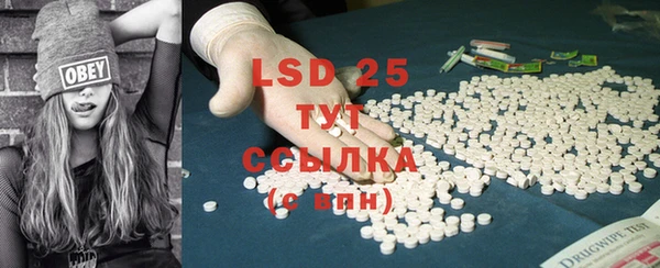 дживик Белокуриха