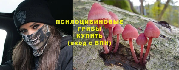 метадон Сосновоборск