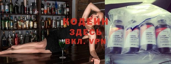 дживик Белокуриха