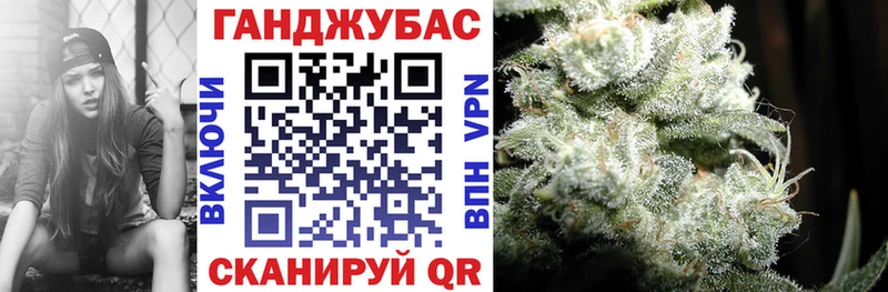 Бошки марихуана план  Белая Холуница 